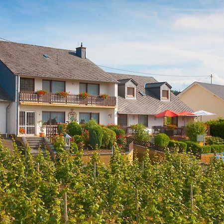 Pension Und Weingut Moselblick برونبيبيرغ المظهر الخارجي الصورة