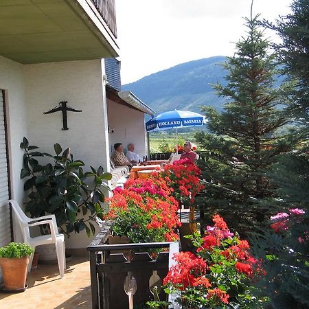 Pension Und Weingut Moselblick برونبيبيرغ المظهر الخارجي الصورة