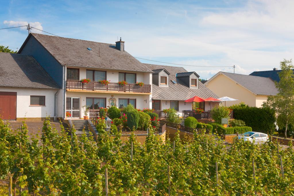 Pension Und Weingut Moselblick برونبيبيرغ المظهر الخارجي الصورة