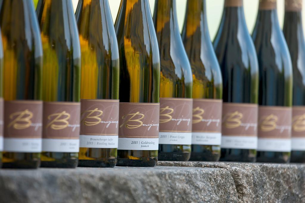 Pension Und Weingut Moselblick برونبيبيرغ المظهر الخارجي الصورة