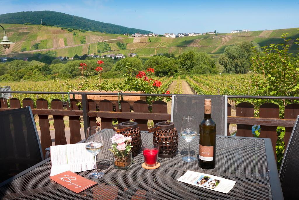 Pension Und Weingut Moselblick برونبيبيرغ المظهر الخارجي الصورة