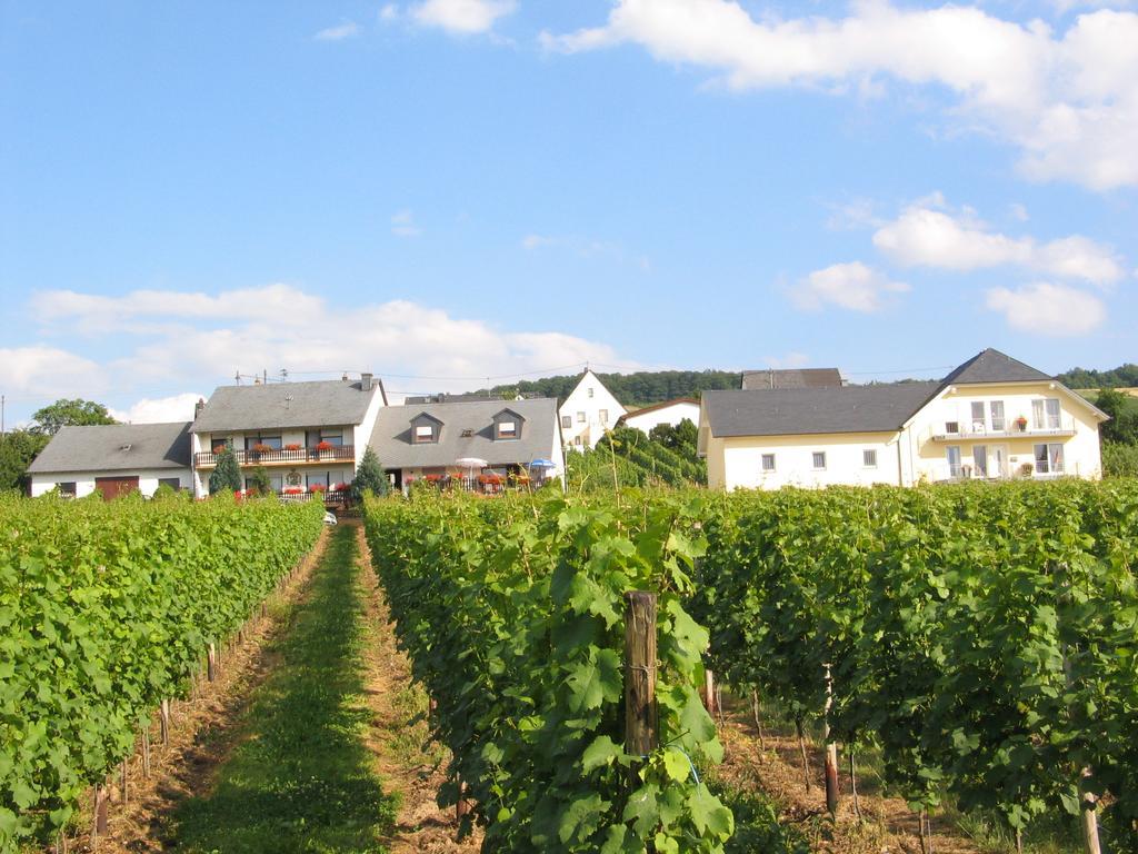Pension Und Weingut Moselblick برونبيبيرغ المظهر الخارجي الصورة